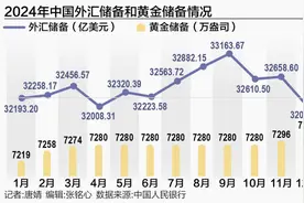 外汇储备连续13个月站稳3.2万亿美元大关，央行扩大黄金储备图片