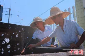 防汛抗旱“两不误” 湖南南县小电排“调水”大作用图片
