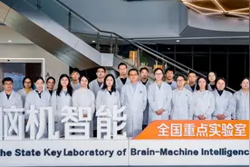 大脑，是如何高效低耗运作的？图片