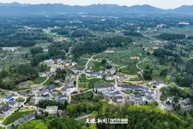 凤冈：“四好农村路”铺就乡村新“途”景图片