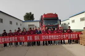 河西走廊葡萄酒抱团首次出口日本市场图片