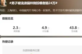 流浪猫闯大祸，投喂人赔24万，为“爱”买单合法合理图片
