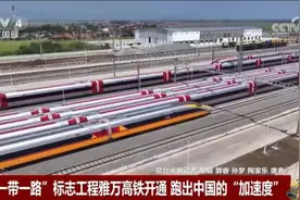“一带一路”标志工程雅万高铁开通 跑出中国的“加速度”图片