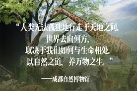 文字的力量，历史的回声！盘点那些落笔即封神的博物馆结语图片