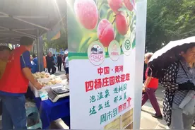 来百花公园西门，逛逛公园集市图片