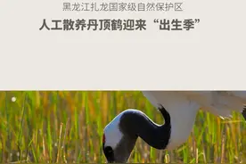 新华每日播报｜5月8日图片