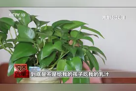 “自体”填充竟检出骆驼蛋白？百万变美手术徒留健康隐患图片