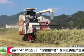 贵州三农 | 亩产747.85公斤！“宁香粳9号”在麻江再创产量新高图片