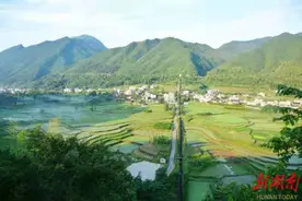 武冈市：以产业兴旺为基础推动乡村全面振兴图片
