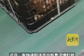 韵达快递被曝活物与货物混装邮寄 ：“死了当垃圾一样丢掉”图片