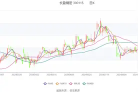 长盈精密：2024年上半年盈利4.33亿元 同比扭亏图片