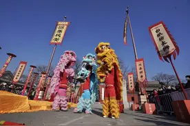 千狮闹春！南北舞狮齐聚东岳庙图片