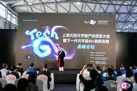 首个市级元宇宙组织正式揭牌！上海元启元宇宙产业促进大会在 TechG2024 成功举办！图片