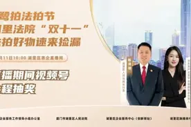 “双十一”法拍好房，速来捡漏！图片