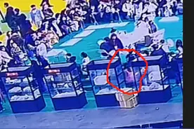 万元明星犬疑在展会上被人抱走，失主报警后找回，状态良好图片