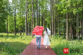 影像记录情怀，“嗨！这里是吴江”摄影大赛获奖名单公布图片