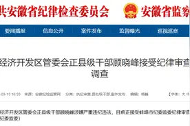 涉嫌严重违纪违法，顾晓峰被查图片