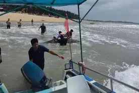 紧急救援！鲸鱼搁浅莆田海滩……图片