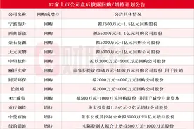 十余家上市公司盘后披露回购或增持计划公告 华宝投资拟最高3亿元增持重庆钢铁股份图片