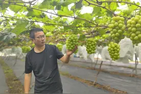 冲上热搜！它的身价为啥大跳水？图片