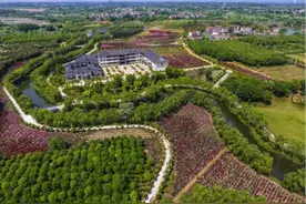 湖北孝南：小流域综合治理   项目统筹助力高质量发展图片