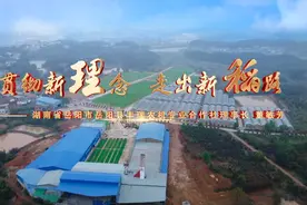 董敏芳：贯彻新“理”念   走出新“稻”路视频封面