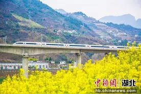 湖北兴山：开往春天的列车图片