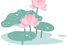 “荷”你邂逅！今年的第一波荷花，开了！图片