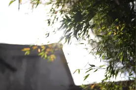 江苏启东百岁老人扎扫帚售卖  不愿放弃老手艺图片