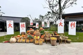 成都金堂乡村振兴田园综合体“中国橘乡·天府城市果园”正式开业图片