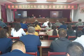 山西省桑干河杨树丰产林实验局举办天保公益林业务培训班图片