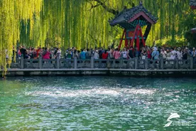 东山晓鲁｜从“可观”到“可游”、从“看景”到“入景”：国庆大数据看山东文旅新活力图片