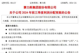 V观财报｜赛力斯拟派发现金红利近5亿元图片