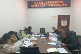 绵阳市盐亭县总工会经费审查委员会开展基层工会经费审查审计工作图片