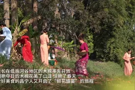 美好生活在云南｜保山昌宁：木棉花开红艳艳，舌上“春天”一口鲜图片