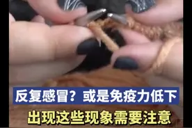 反复感冒？可能是免疫力低下导致！出现这些现象需要注意图片