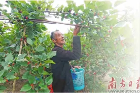 手中有订单 农户心更安图片