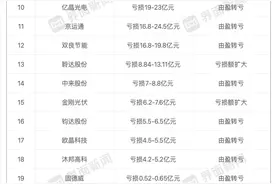 失血超600亿的光伏行业：亏损王难兄难弟，动荡中仍有企业盈利图片