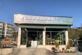 宝山区市民园艺中心图片