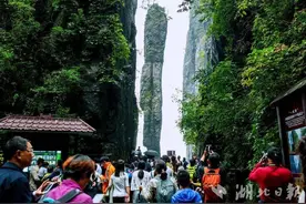 人气旺！恩施大峡谷迎来春游热潮！图片