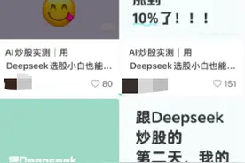 网友称跟DeepSeek炒股日赚千元，也有人亏损，AI投资靠谱吗？图片