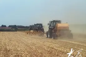 齐鲁粮仓|良种、良法、良机齐上阵，青岛即墨区“麦”向好收成图片