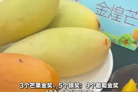 新品种不断迭代，广西水果也“内卷”？图片