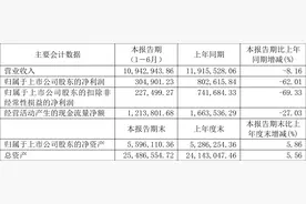 恒力石化：2023年上半年实现净利润30.49亿元图片
