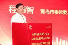 聚力未来产业 服务专精特新 青岛举办融链固链建链常态化行动虚拟现实、通用航空产业链专场对接会图片
