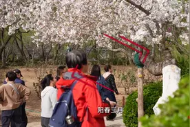 齐鲁早报|山东首个省级地下水监测系统上线；廊坊发生4.2级地震；国足无缘直通世界杯图片