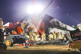 韩知情人士：客机200米高空撞鸟，有毒气体进入机体，没来得及丢掉燃料图片