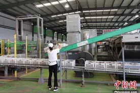 （高质量发展调研行）小果大业 陕西眉县猕猴桃变县域经济“最强引擎”图片
