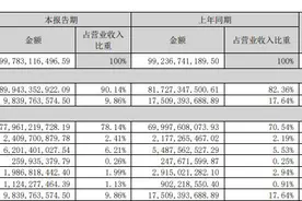 格力电器上半年净利润创同期新高，国内外营收均增长图片