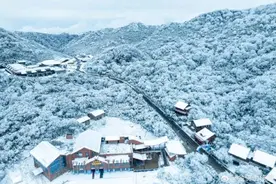重庆17区县下雪！城口黄安坝最低气温-11.8℃图片